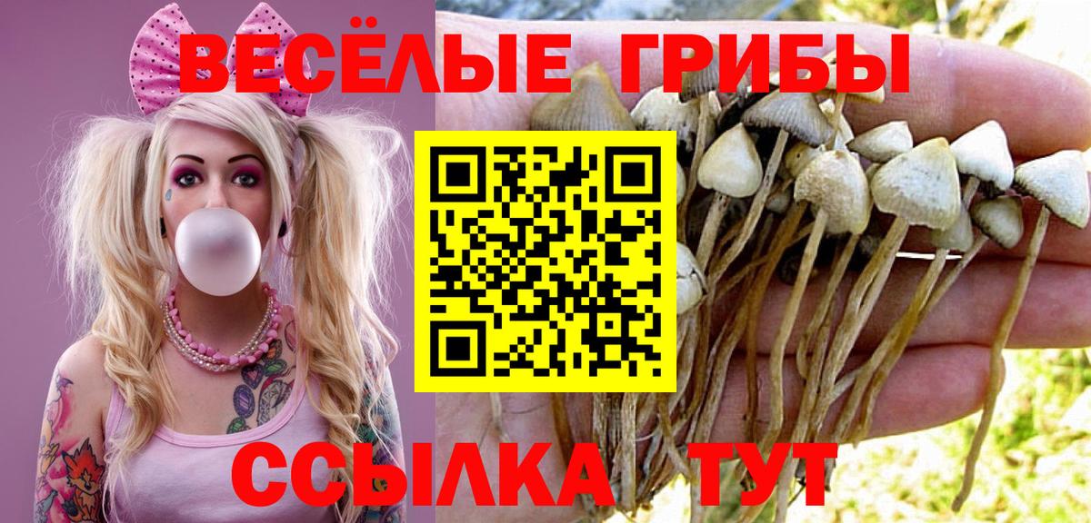 Псилоцибиновые грибы ЛСД Белгород